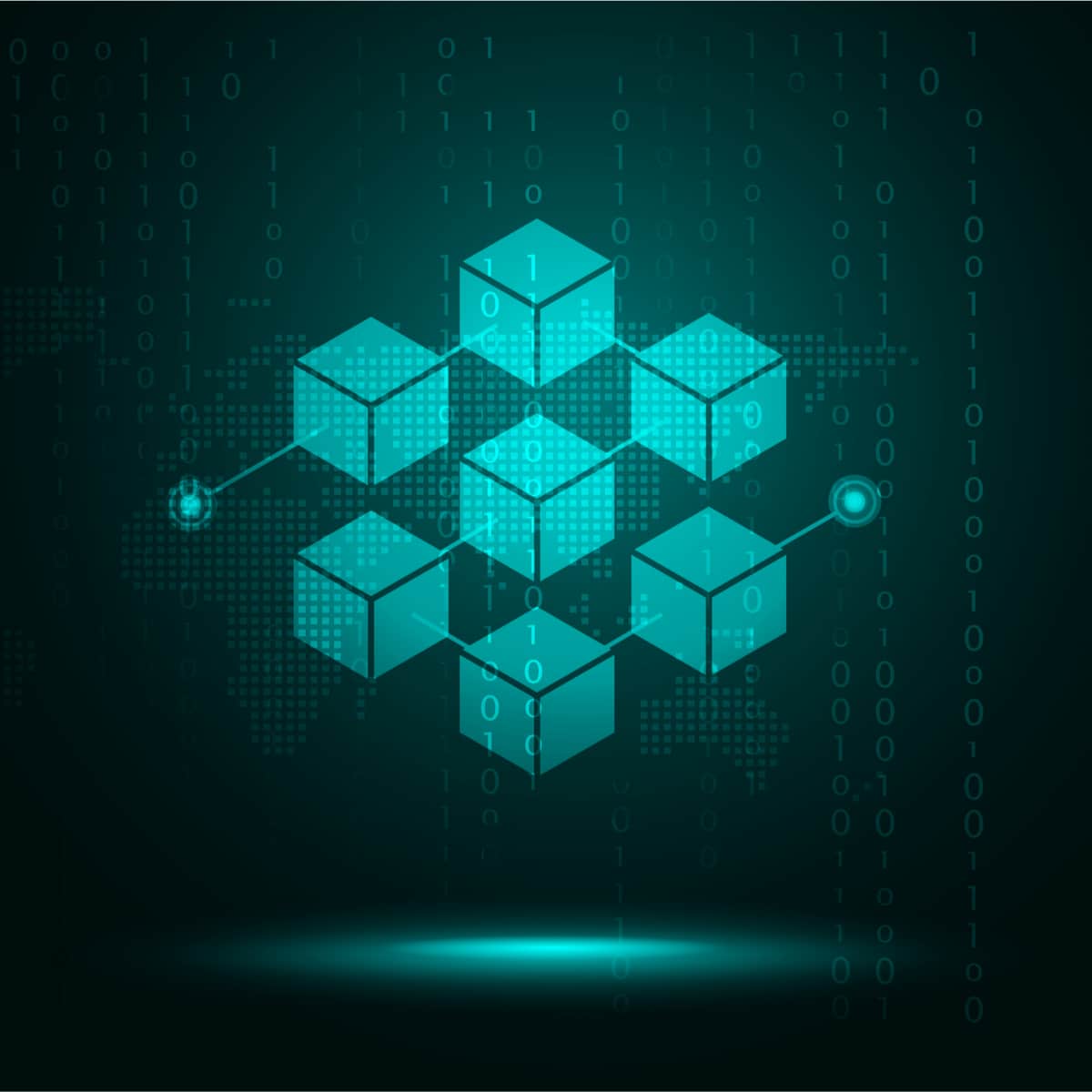 CCS-network